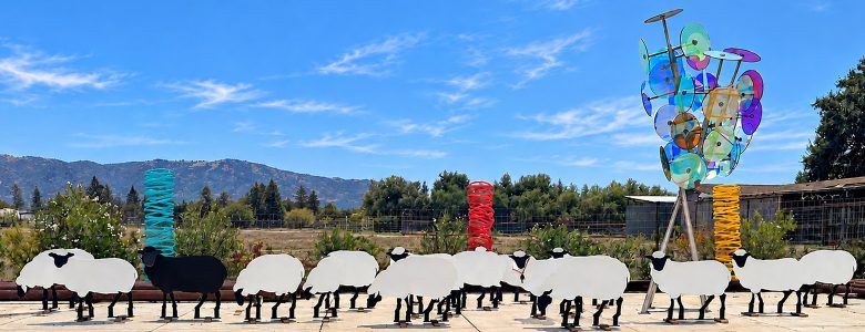 Di Rosa Sheep Roundup
